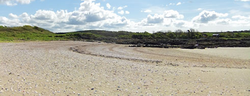 The beach at Shorefield